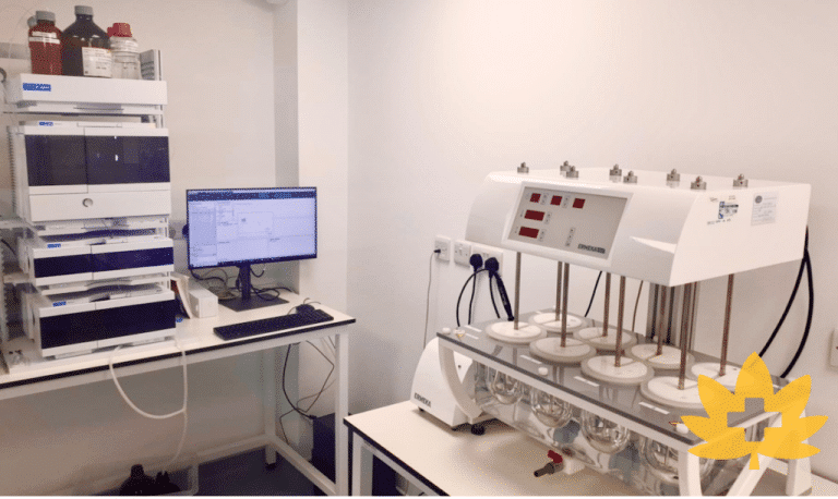 113 Botanicals Launches £2m Raise to Bring Controlled-Release Cannabis Capsule to UK Patients