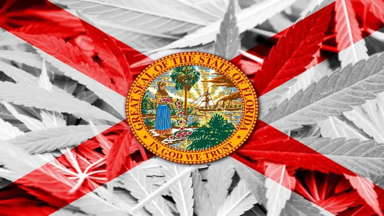 Florida steps up ‘criminal probe’ of marijuana legalization campaign