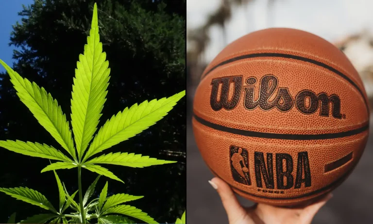 WNBA Offers To End Marijuana Testing For Women’s Basketball Players As Part Of Reported Deal With Union