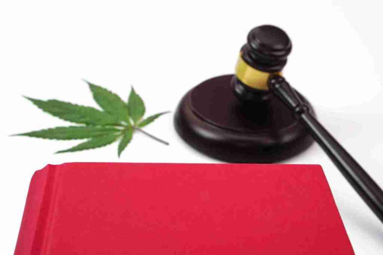 Is CBD legal in India? Complete Guide for 2026 – Buy CBD Oil India | Licensed Under Ministry of Ayush