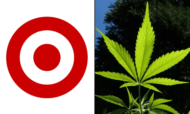 Target Expands Involvement In Hemp THC Drinks Market With 72 New Licenses In Minnesota