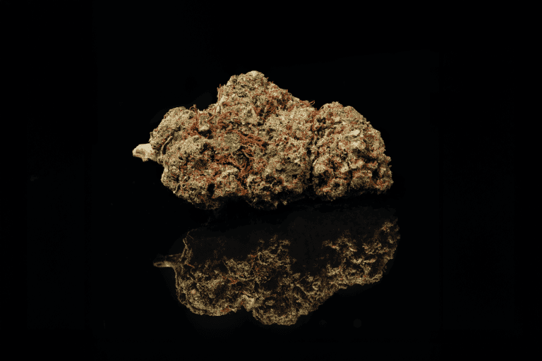 Who Names Cannabis Strains? Breeders on Genetics, Branding and Rights