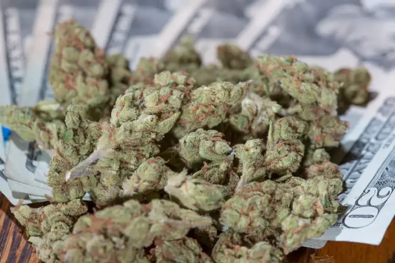 Marijuana Could Generate $111 Billion In Tax Revenue Over A Decade If Legalized Federally And In All 50 States, Yale Report Shows Marijuana Could Generate $111 Billion In Tax Revenue Over A Decade If Legalized Federally And In All 50 States, Yale Report Shows