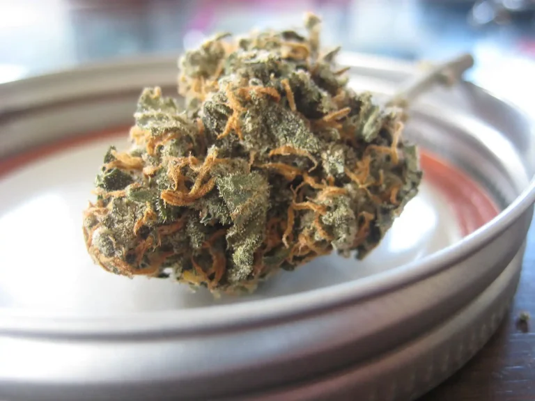 Kentucky’s Medical Marijuana Program Is ‘Halfway’ To Becoming ‘Fully Operational,’ Governor Says