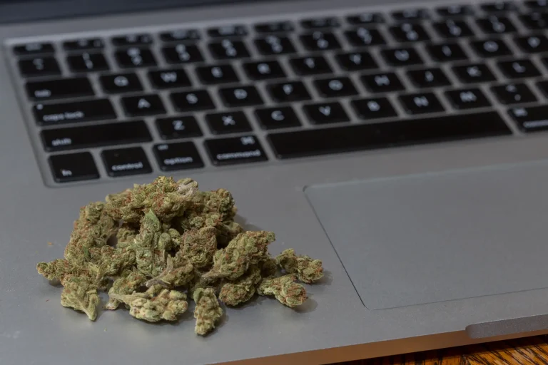 FDA Wants Help Monitoring Marijuana And Hemp Posts On TikTok, Reddit And Instagram