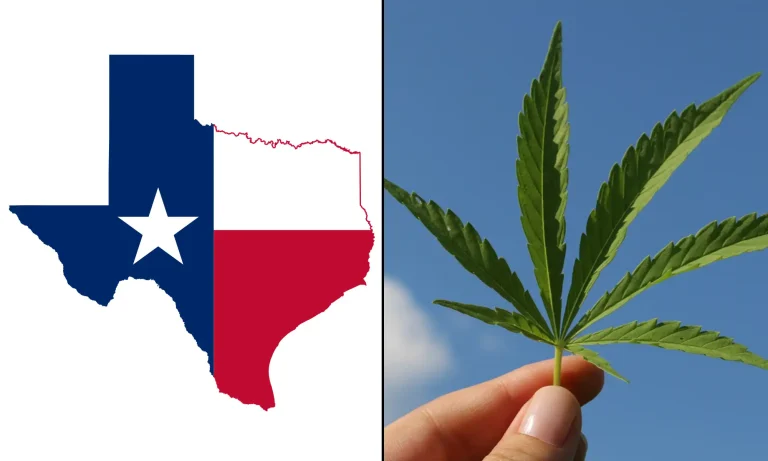 Texas Officials Call Hemp A Crisis While Bigger Public Safety Threats Go Unanswered (Op-Ed)