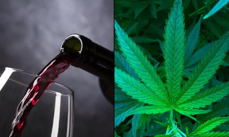Alcohol Retailers And Wholesalers Support Bill To Keep Hemp THC Drinks Federally Legal Alcohol Retailers And Wholesalers Support Bill To Keep Hemp THC Drinks Federally Legal