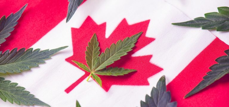 Canada Sets Monthly Cannabis Sales Record, Surpasses California as World’s Largest Legal Market
